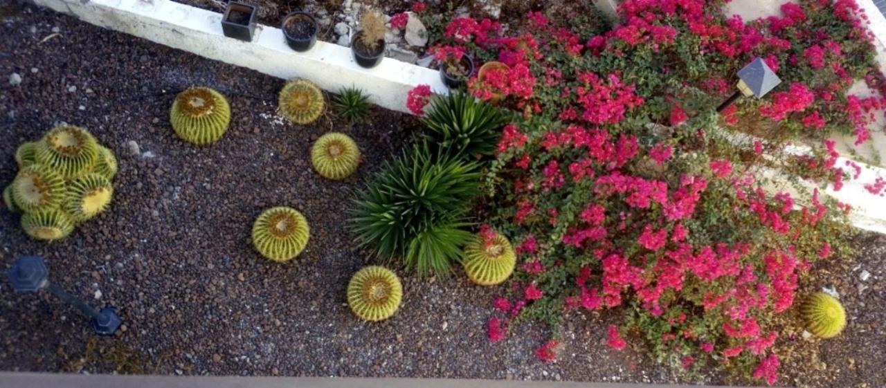 Beautiful 2 Bedroom Apartment Near Puerto Rico Beach Mogán エクステリア 写真